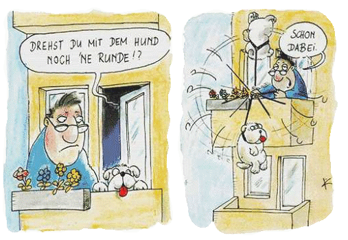 Eine Runde mit dem Hund